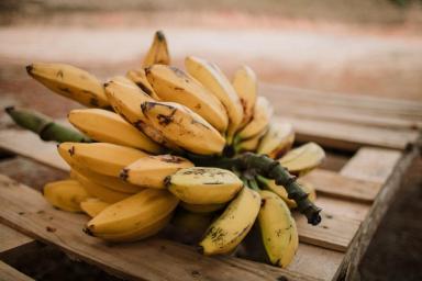 কলা খাওয়ার সঙ্গে ঠান্ডা লাগার সম্পর্ক আছে কি?