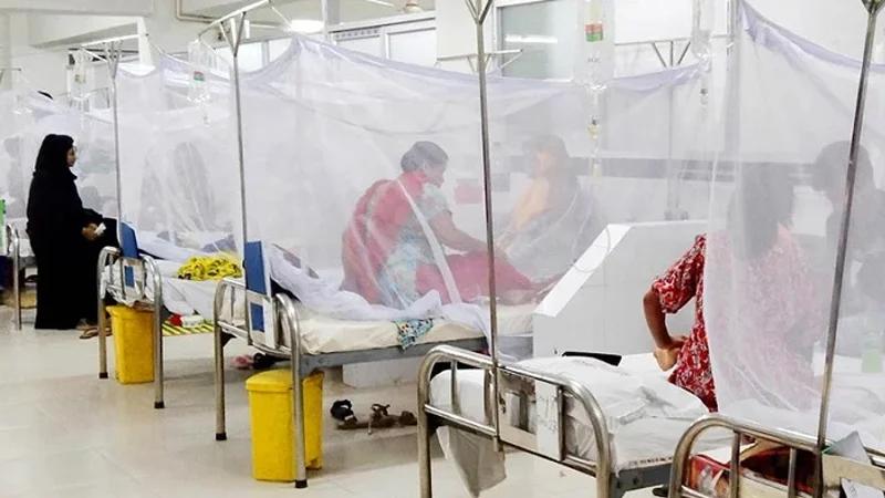 ডেঙ্গু আক্রান্ত হয়ে একদিনে ২৮৮ জন হাসপাতালে ভর্তি