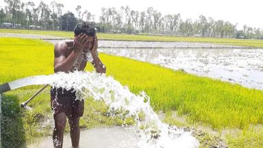 ভ্যাপসা গরম থাকতে পারে জুনের মাঝামাঝি পর্যন্ত